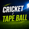 Cricket Balls