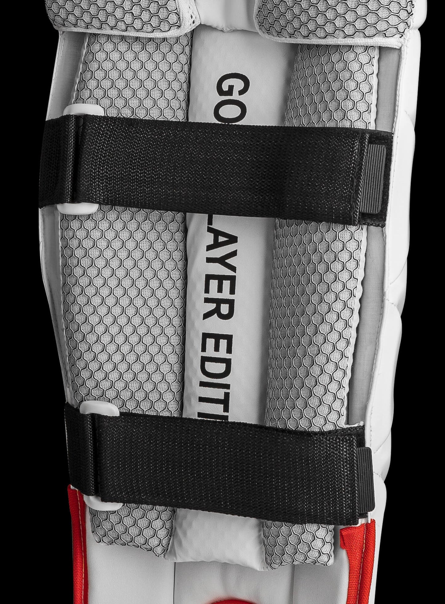 CA Gold Player Edition