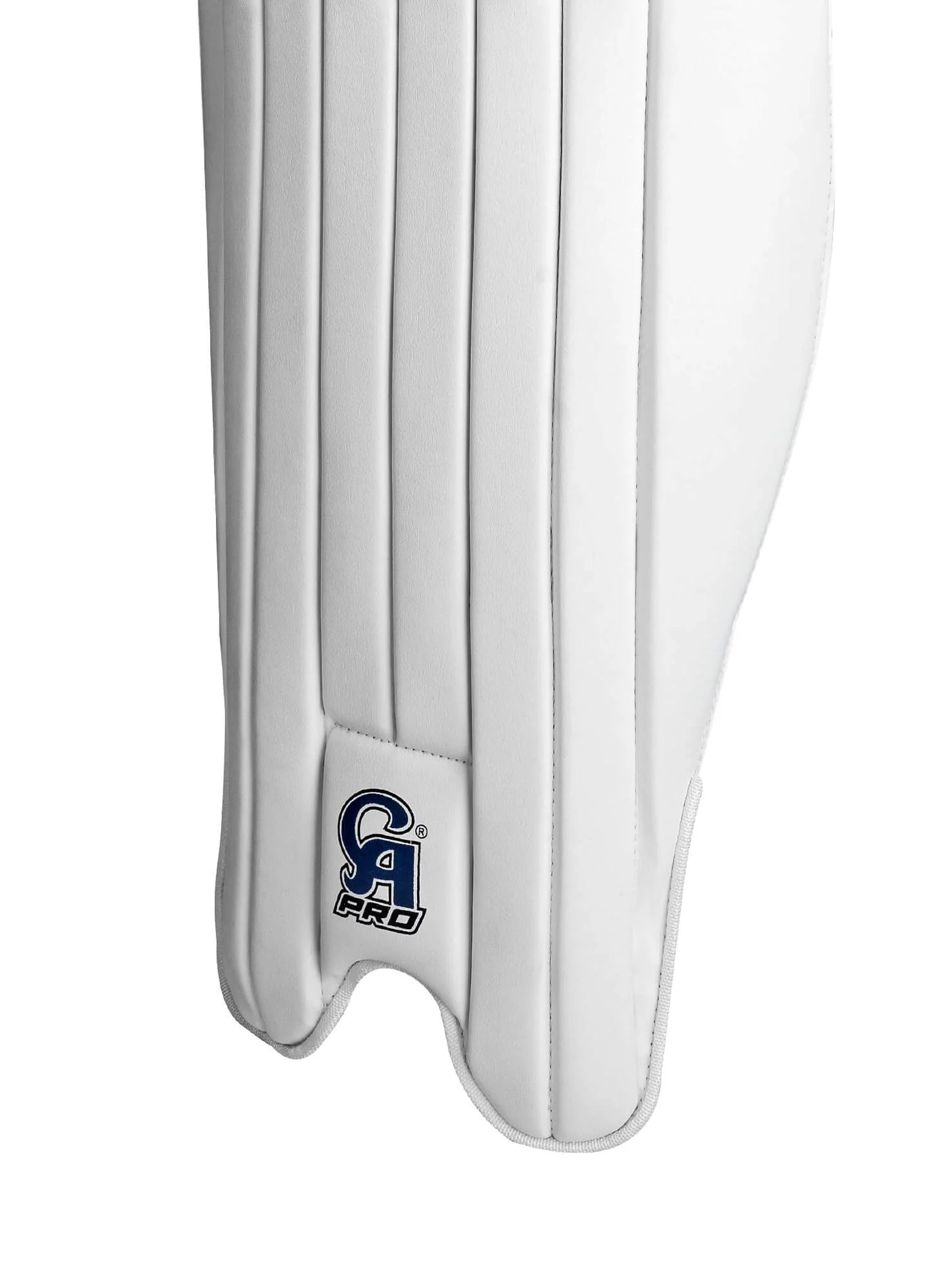 CA Pro 2000 Pads