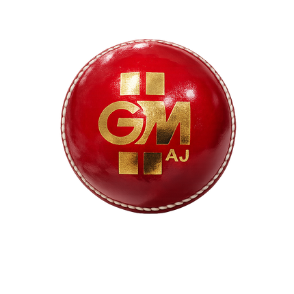 GM Premium Cricket Ball