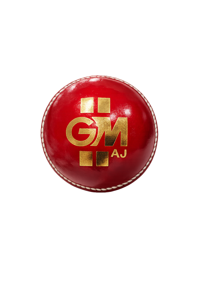 GM Premium Cricket Ball