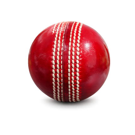 GM Premium Cricket Ball