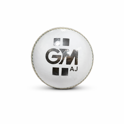 GM Premium Cricket Ball