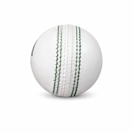 GM Premium Cricket Ball