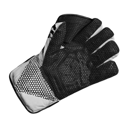 CA Gold Dragon Wicket keeping Gloves