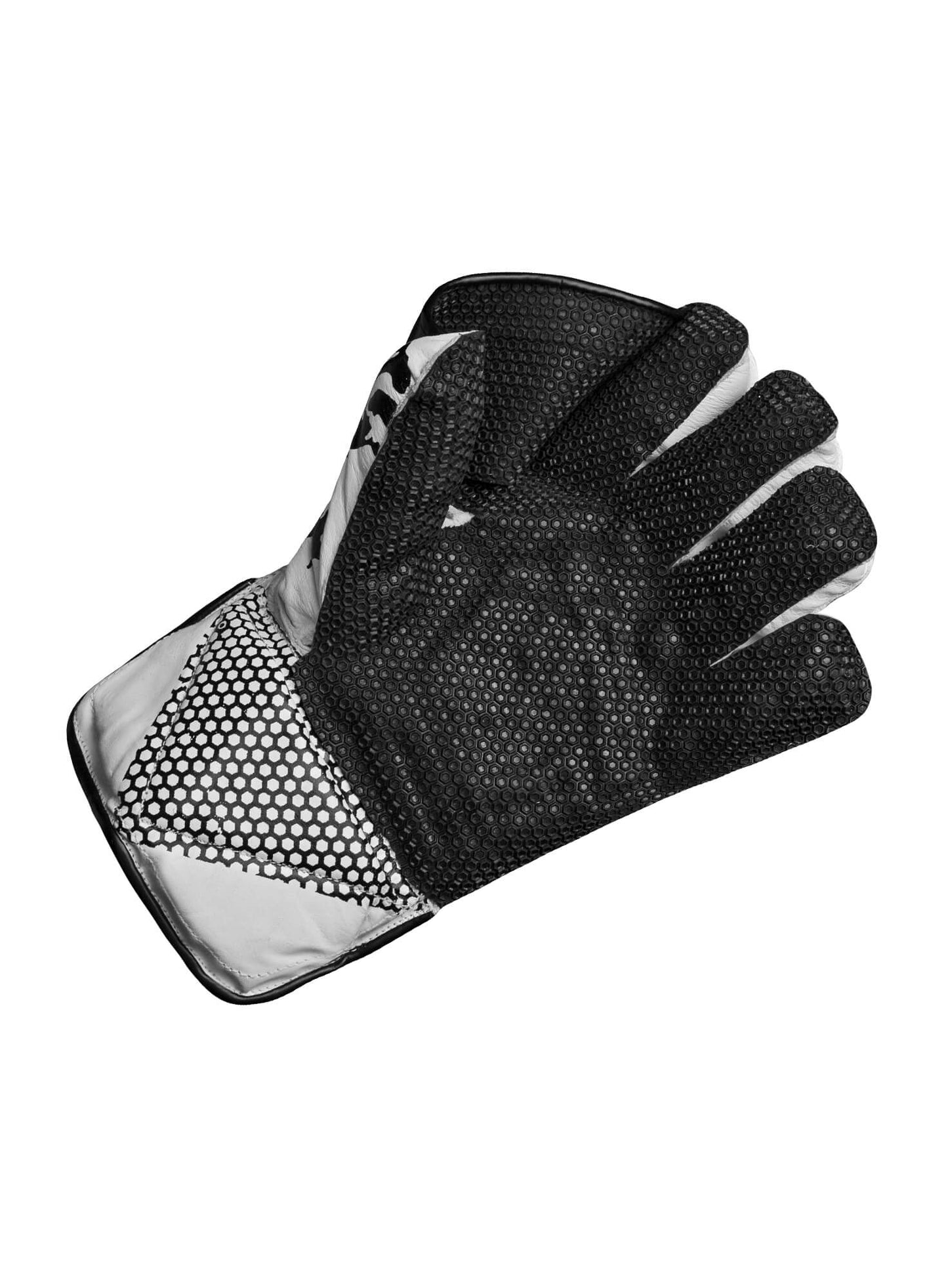 CA Gold Dragon Wicket keeping Gloves