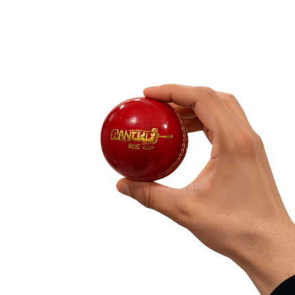Cricket Ball for Kids Training