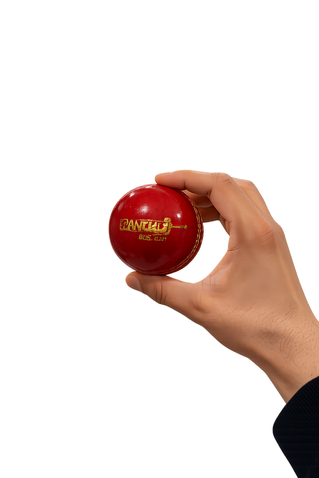 Cricket Ball for Kids Training